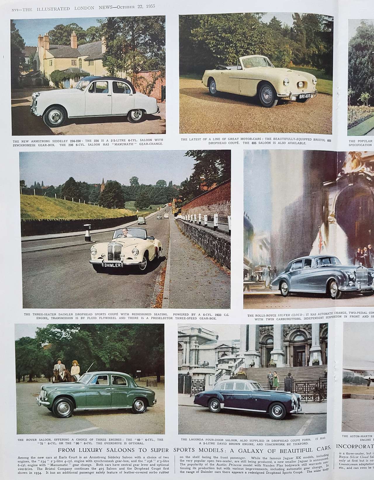 Luxury and sports cars
